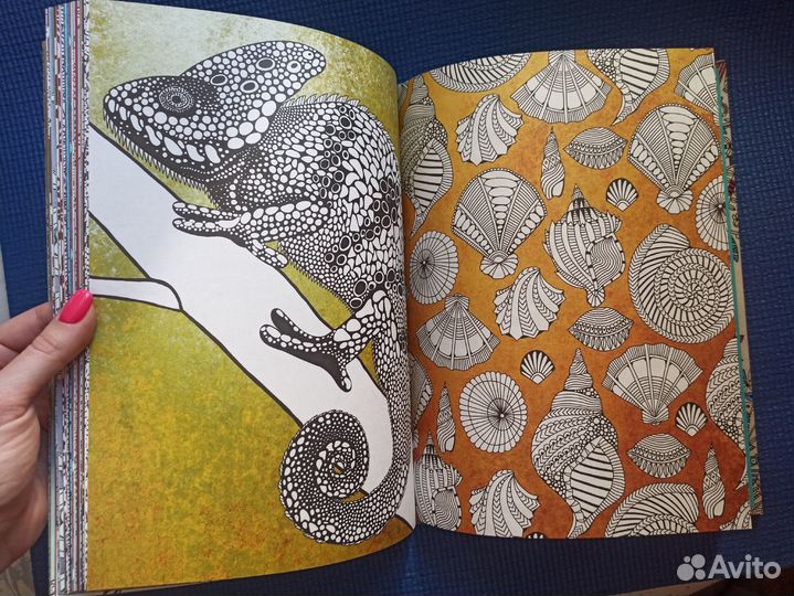 Раскраска антистресс