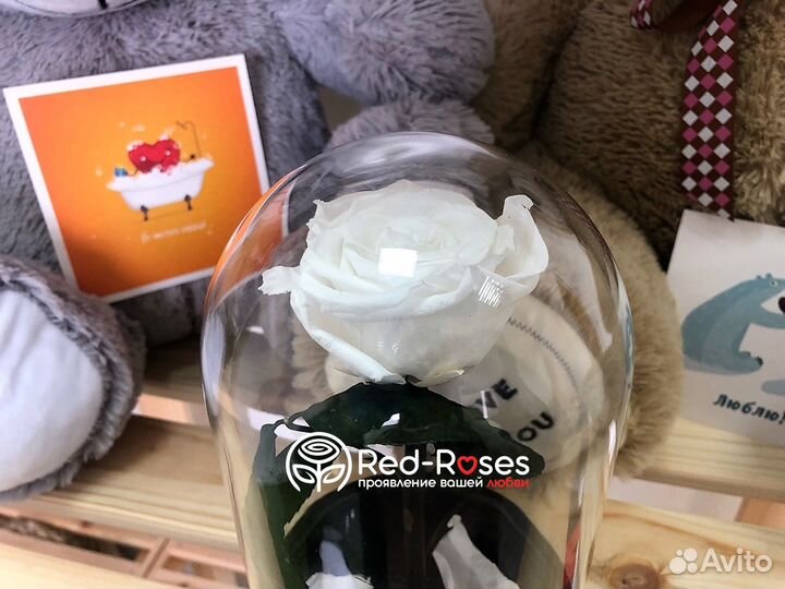 Роза в колбе 23 см