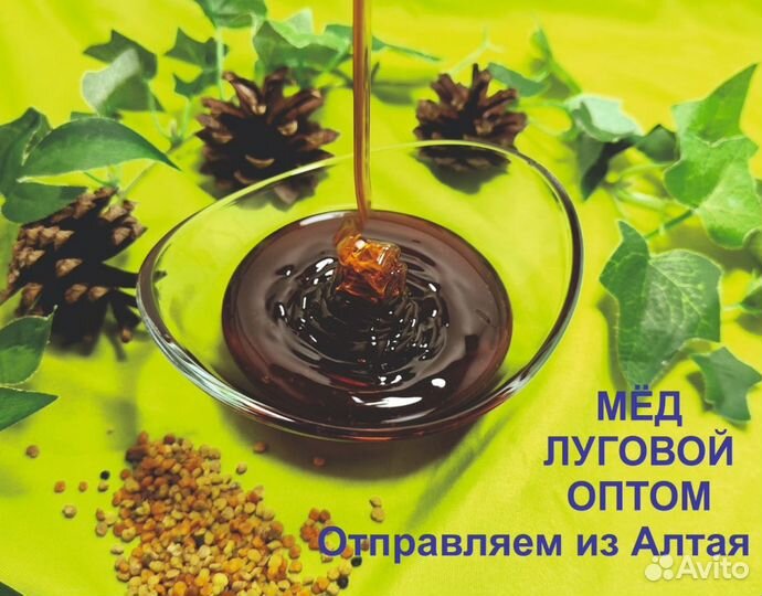 Натуральный мёд 2023 г (оптом)