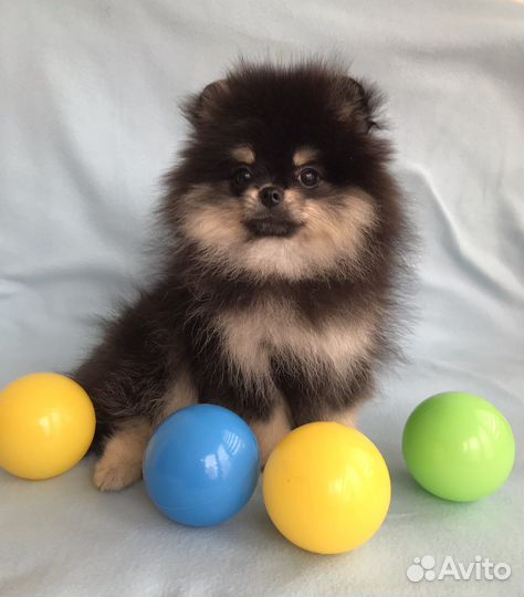 Да чего же хороши наши крохи-малыши