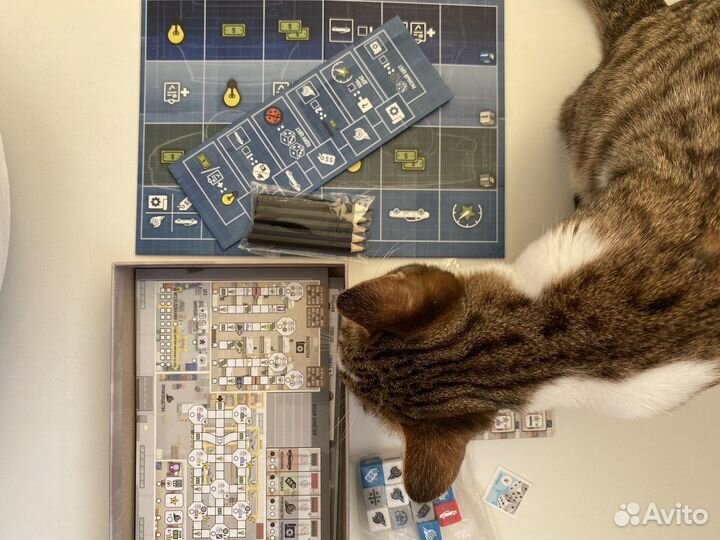 Город моторов