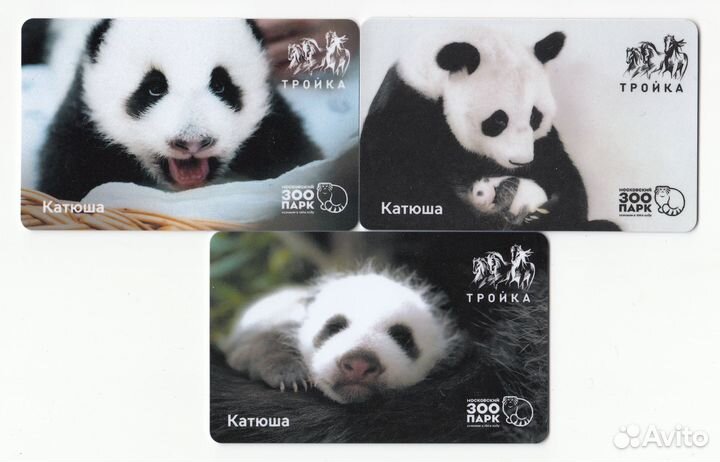 Карта тройка комплект Панда Московский зоопарк