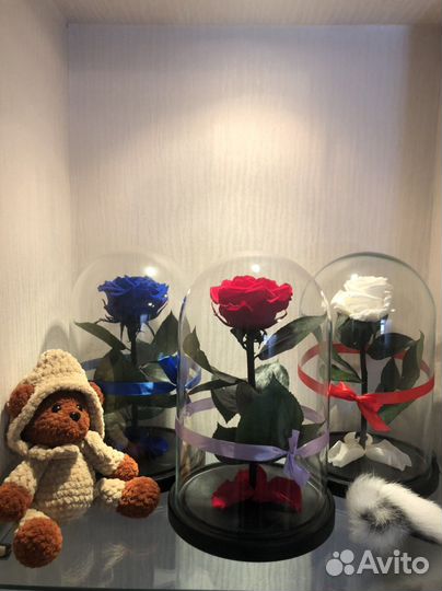 Вечная роза в колбе