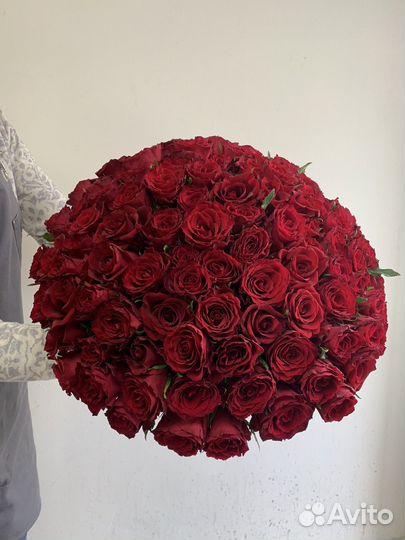 Розы, букет 51 роза, 101 роза