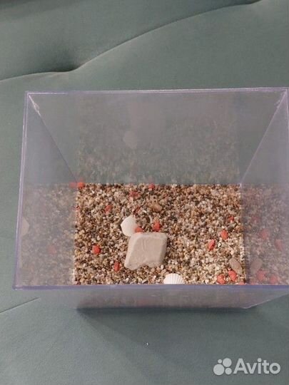 Мини аквариум 3л