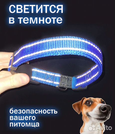 Ошейник для животных