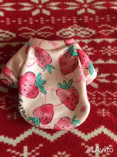 Одежда для собак мелких пород