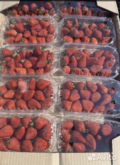 Клубника свежая