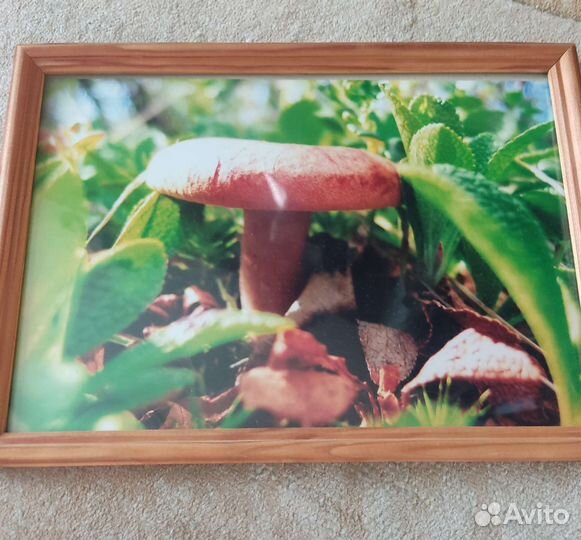 Авторское фотопанно 