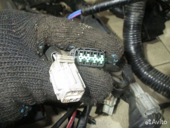 Проводка (коса) Infiniti FX (S50)