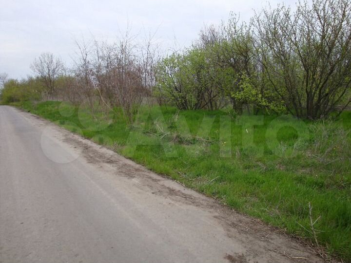 Участок 17,3 сот. (ИЖС)