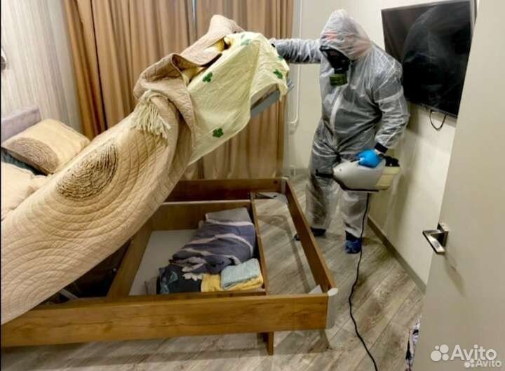 Уничтожение тараканов клопов мышей блох клещей