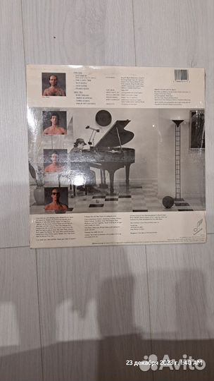 Steve bach more than a dream