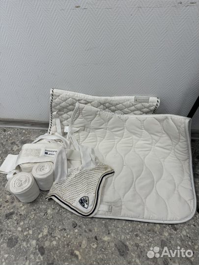 Вальтрап выездковый