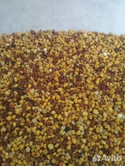 Натуральный лесной мед разнотравье с личной пасеки