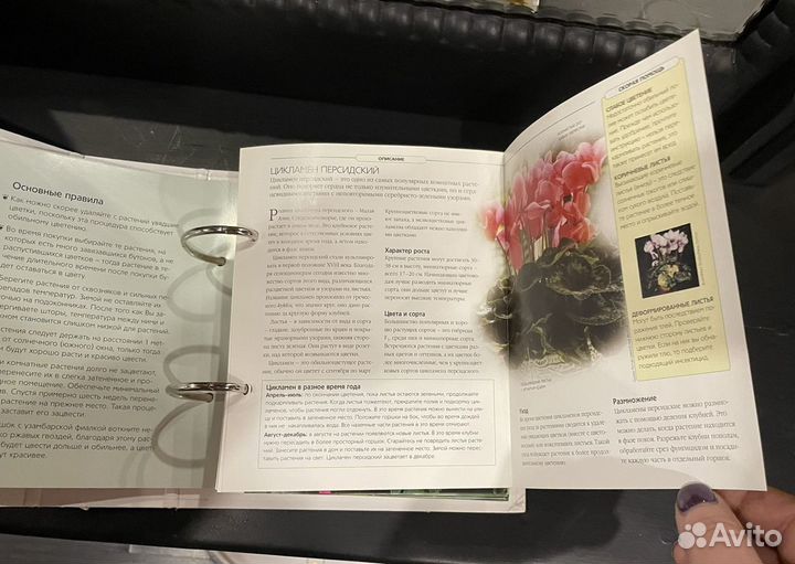 Книга цветы дома