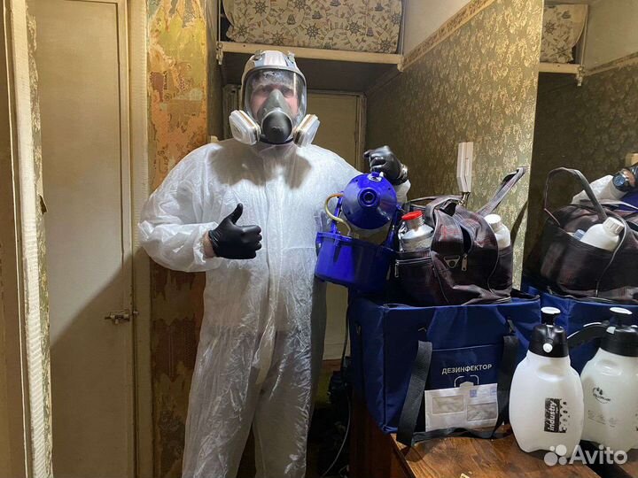 Уничтожение клопов, тараканов, ос, крыс, мышей