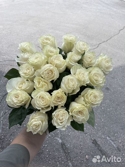 Букет из белых роз Эквадора 25 роз 80 см