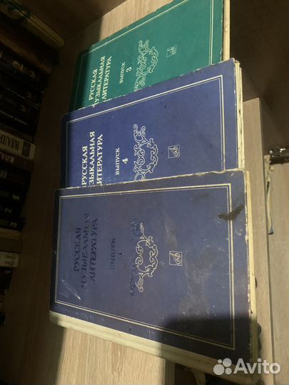 Книги В.С.Высоцкий