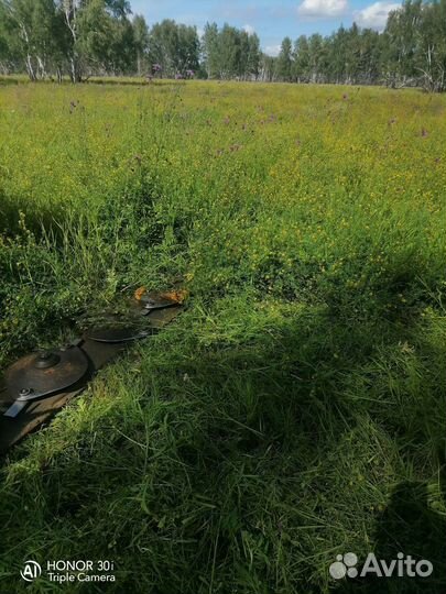 Сено в тюках круглых