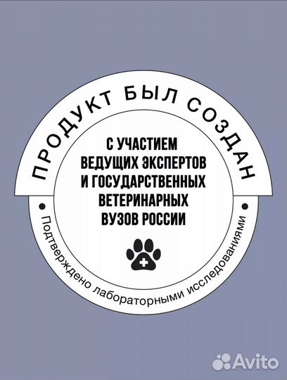 Сухой корм для котят