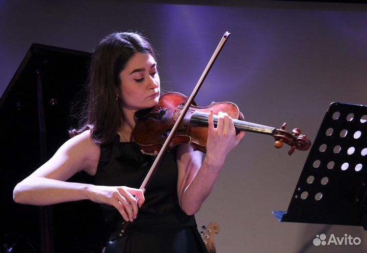 Скрипка на праздник. Воронеж, Орел