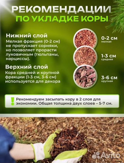 Кора лиственницы, сосны