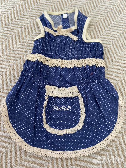 Одежда для собак маленьких пород