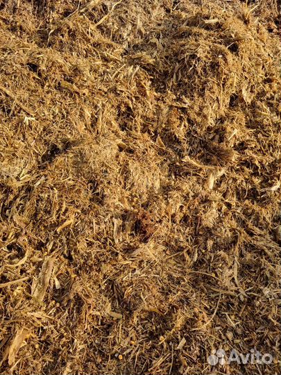 Силос кукурузный