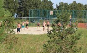 Участок 12 сот. (СНТ, ДНП)