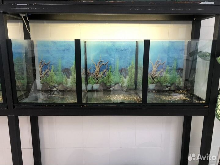 Аквариум