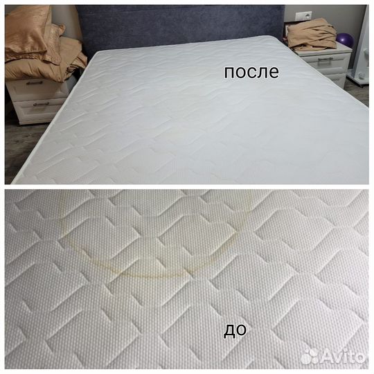 Аренда моющего пылесоса karcher