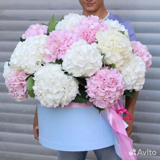 Букет из гортензий 11 21 31 41 51 101