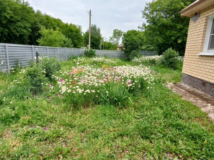 Дом 109 м² на участке 45 сот.