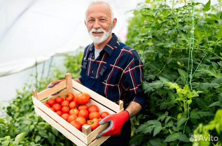 Разнорабочий Работа вахтой в теплицах