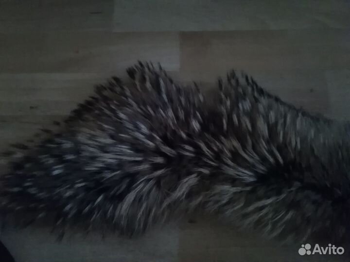 Меховой воротник из енота