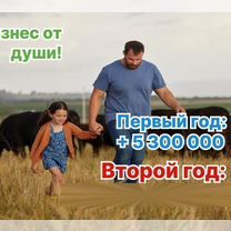 Сельскохозяйственное агентство в городе, Тбилиси