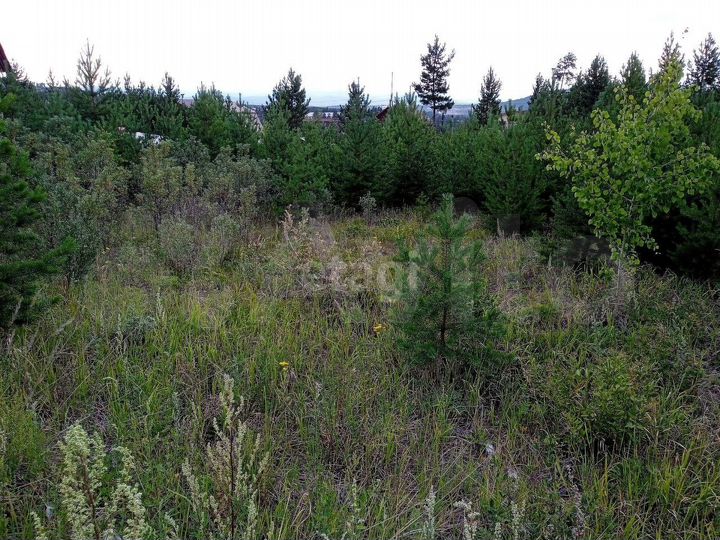 Участок 7,5 сот. (ИЖС)