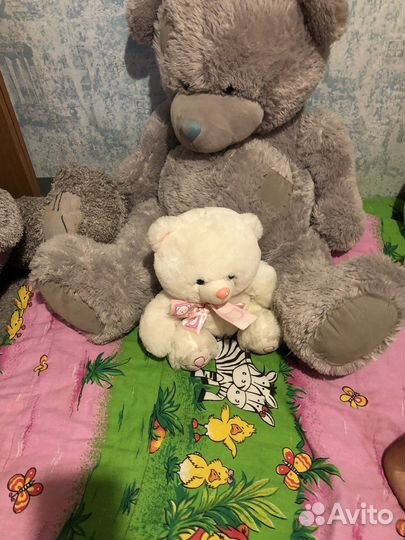 Мишка Тедди