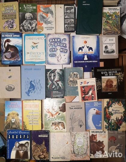 Животные растения природа Охота Рыбалка Биолог егэ