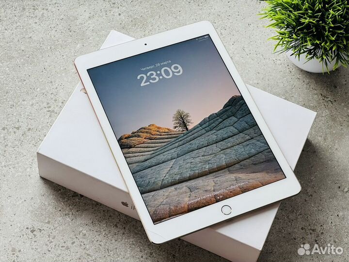 Apple iPad Pro 9.7 32Gb с симкой