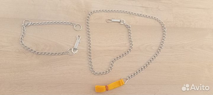 Ошейник и поводок