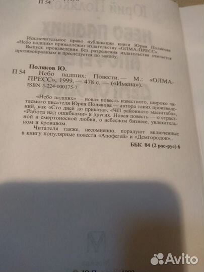 Поляков Ю. Небо падших