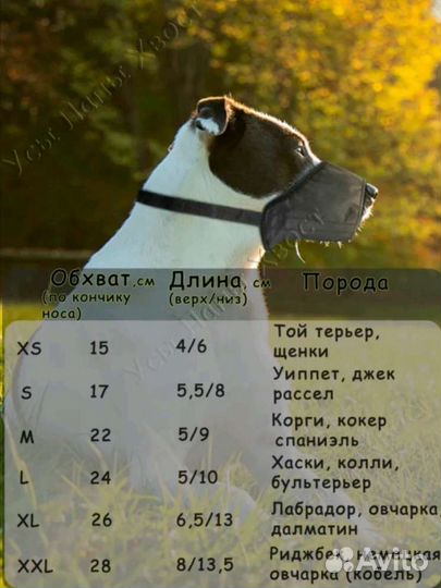 Намордник для маленькой собаки бесплатно