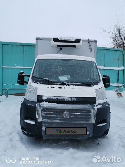 FIAT Ducato рефрижератор, 2014