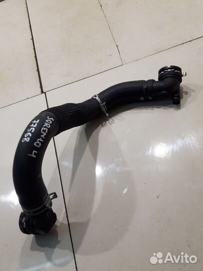 Патрубок системы охлаждения (Kia Sorento IV)