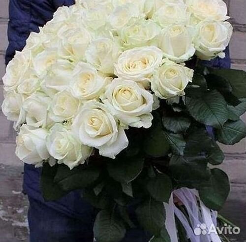 Высокие Высокие розы Гигантские розы Букеты Достав