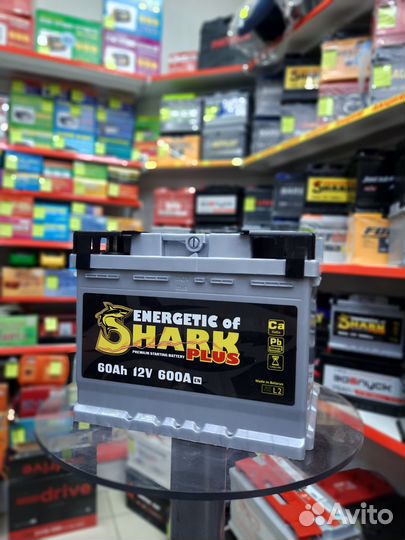 Аккумулятор Energetic Shark Plus 60 Ah 600A En