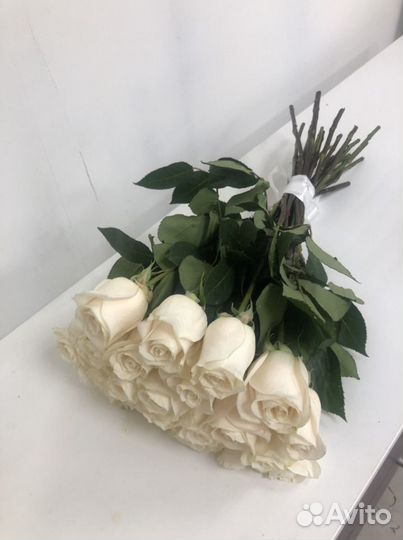 Розы 23 штуки 50 см