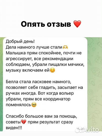 Гуманный Кинолог Зоопсихолог, Поведение собак